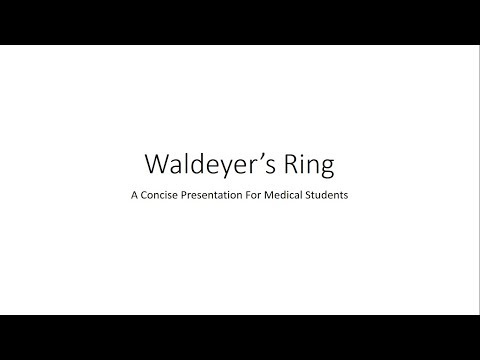 Waldeyer's Ring - For Medical Students
