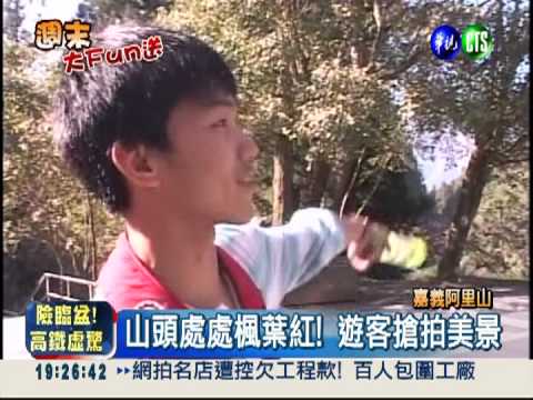 賞楓免出國! 阿里山楓紅搶先看