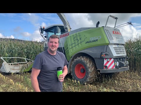 LU Harvest Angels Maisernte 2020