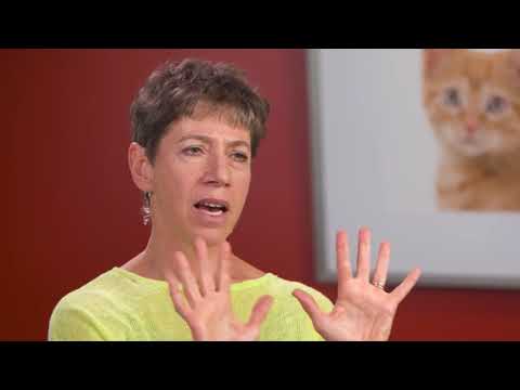Is Your Cat Scratching a Healthy or Harmful Habit? - Dr. Margie Scherk