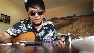 เมาตลอดคิดฮอดเสมอ – เพชร สหรัตน์