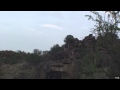 African BBQ Hunter Mountain Reedbuck