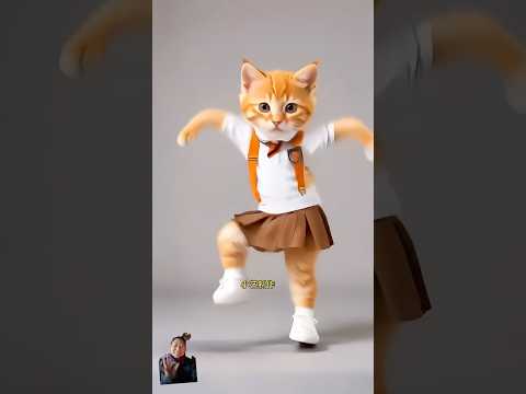#funnycate #catdance #catlover #funnyrection #reactionvidoes #cat #kittycat 😻