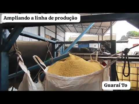 Guaraí Tocantins Instalação Esmagadora de Grãos