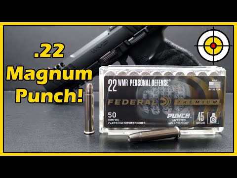 How GOOD Is It? NEW Federal Premium PUNCH .22 Magnum Ballistic Gel Test With the WMP & Barkeep!