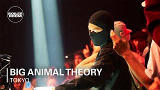 Big Animal Theory DJ set