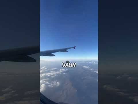 LENTOKONE PUTOSI😳