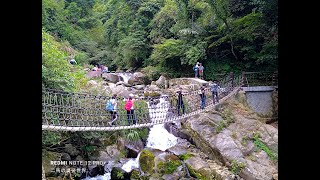 夏日首選  五星級步道 林蔭蔽天 潺潺流水 舒爽宜人......陽明山~猴崁古道~大屯瀑布 !