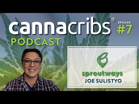 Sproutways: Cannabis Genetics Marketplace (Bodhi, Snowhigh, Kagyu) Podcast E7 w/ CEO Joe Sulistyo