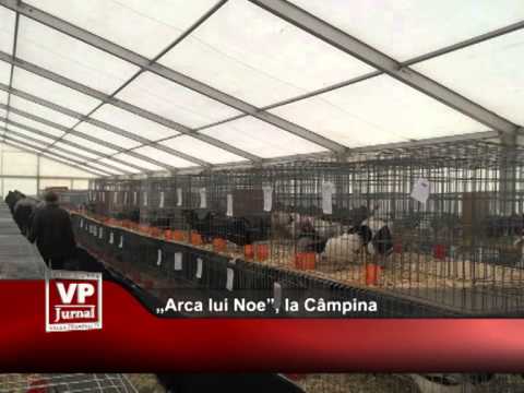 „Arca lui Noe”, la Câmpina