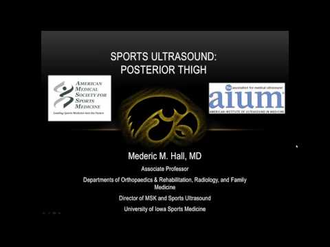 Sports Ultrasound  Sonographic Evaluation of the Posterior Thigh