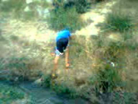 Partoba 6 - O retorno do Mr. Pra Que kkk