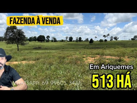 Fazenda à venda de 513 há em Ariquemes - Rondônia 