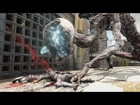 Strongest Death Rite Bird Vs NPC - Elden Ring