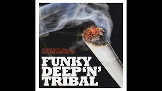 Hernan Cattaneo - Funky Deep  N  Tribal
