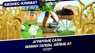 Жас маман ауылдан неге қашады?