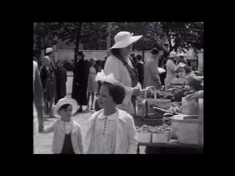 Falkenberg - En sommarstad vid västerhav