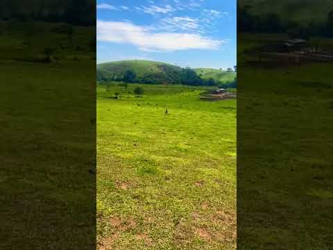 Fazenda à Venda em Senador José Bento - MG.