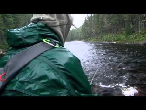 Swinging Flies for Atlantic Salmon | How To Swing A Fly