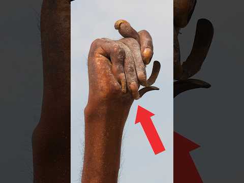 This is what happens when you raise your hand for 50 years.