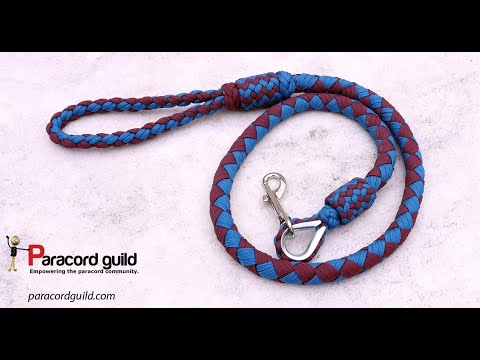Plaited paracord dog leash