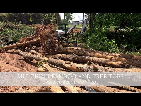 Mulching bamboo and tree tops