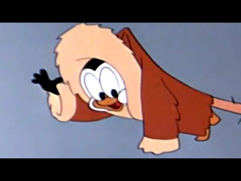 Chilly Willy Full Episodes 🐧I'm Cold - Chilly Willy old cartoon 🐧Videos for Kids