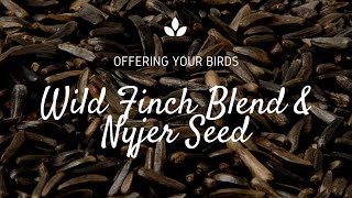 How to Attract Finches with Nyjer Seed