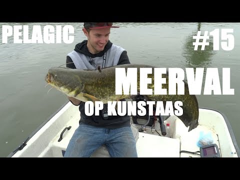#15 Pelagic Catfish With Soft Lures! / Pelagisch Meerval Vissen Met Kunstaas!