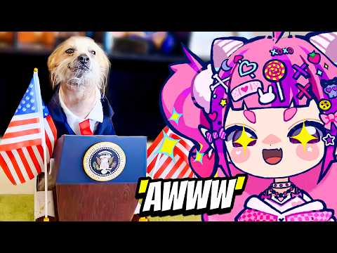 Ironmouse Reacts To The Best Pet Videos of the Decade..