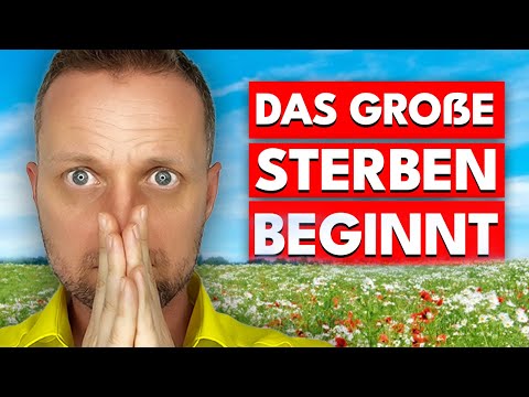 Wieso sinkt die Lebenserwartung gerade drastisch nur in Deutschland?