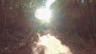 Download lagu Keeravani Interludes || Paadum Paravaigal (1985) || Maestro Ilayaraja mp3 Download lagu Keeravani Interludes || Paadum Paravaigal (1985) || Maestro Ilayaraja mp3