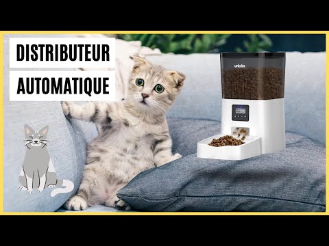 Distributeur Unbon pour chat : vaut-il vraiment le coup ?