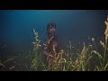SZA Drive Official Video