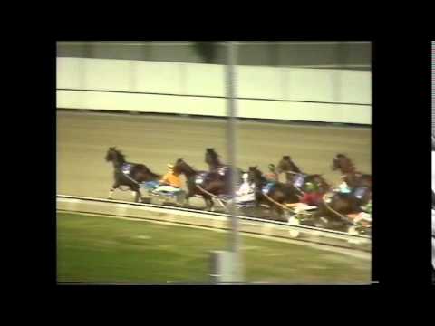 1987 Queensland Derby harness race