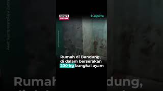 Download lagu Bau Busuk Nyengat, Didobrak, Ketemu Ratusan Bangkai mp3 Download lagu Bau Busuk Nyengat, Didobrak, Ketemu Ratusan Bangkai mp3