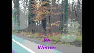 Deine Stimme.wmv