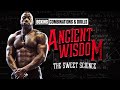 Boxing For Beginners | The Science of Boxing | Mike Rashid