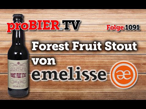 Forest Fruit Stout von Emelisse | proBIER.TV - Craft Beer Review #1091 [4K]