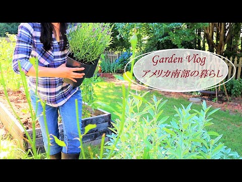 鹿を庭から追い出す 庭の練習