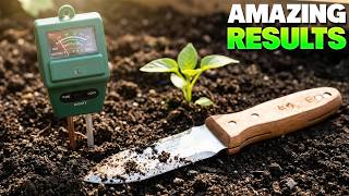 25 Amazing Gardening Tools On Amazon You Need in 2026