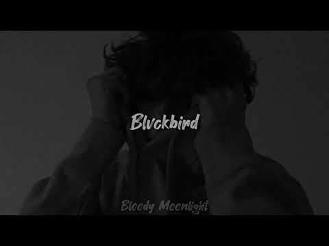 Blvckbird - Furia // LETRA.