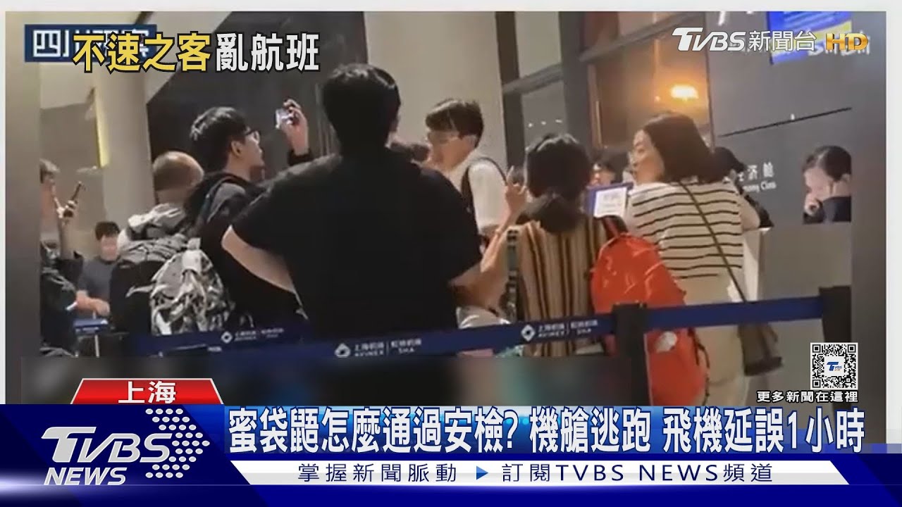 蜜袋鼯怎麼通過安檢?機艙逃跑 飛機延誤1小時
