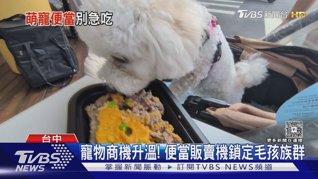 影音/「寵物便當販賣機」台中現身!毛孩試吃超嗨 獸醫提醒:運動完別馬上餵