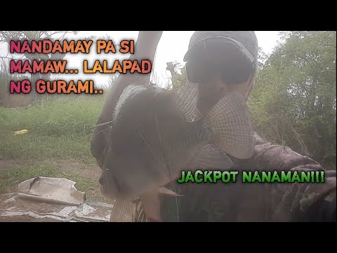MAMAW +GAPALAD NA GURAMI/AIRGUN FISHING@DANItiksayHUNTER