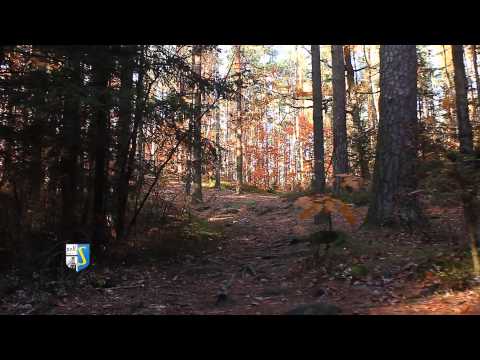 Staporkow weare chaniging for the better