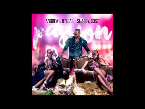 Andrea & Otilia ft Shaggy, Costi - PASSION (Hakan Kalender Remix )