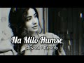 Na Milo Humse Jyada Kahin Pyaar Ho Na Jaye Slowed Reverb Heaven Lofi Music