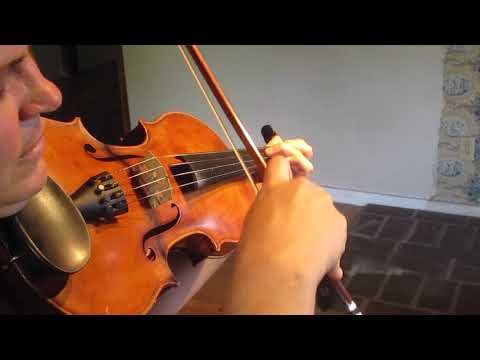 Sally Gardens - Free Fiddle Lesson