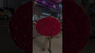 1000 roses bouquet🌹 #love #instagram #life #style #styling #tiktok #video #rose #bouquet #reels